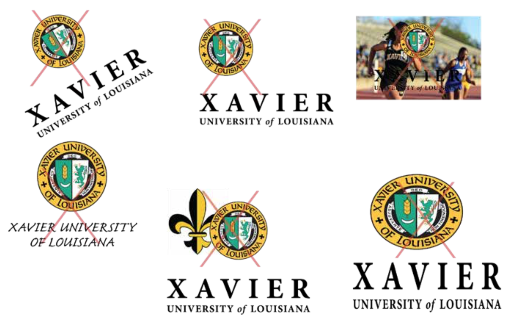 The Xavier Brand  Xavier University of Louisiana