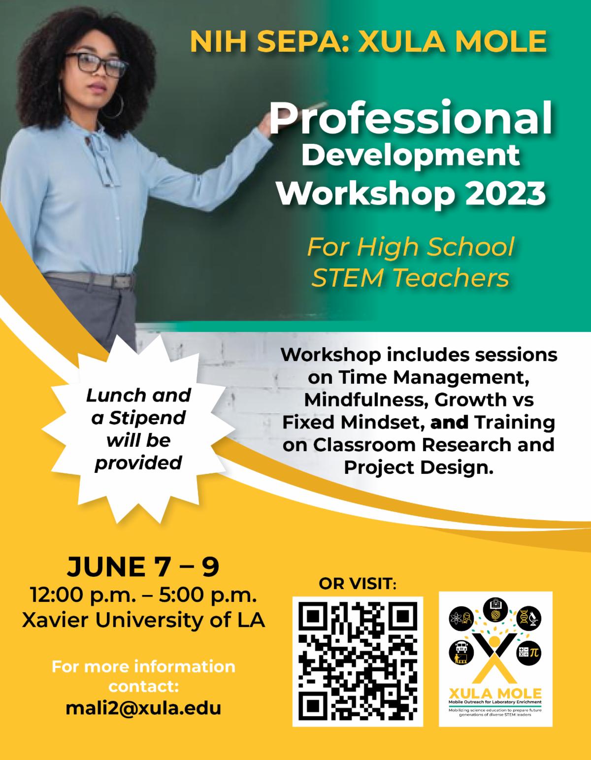 Professional Development Workshop