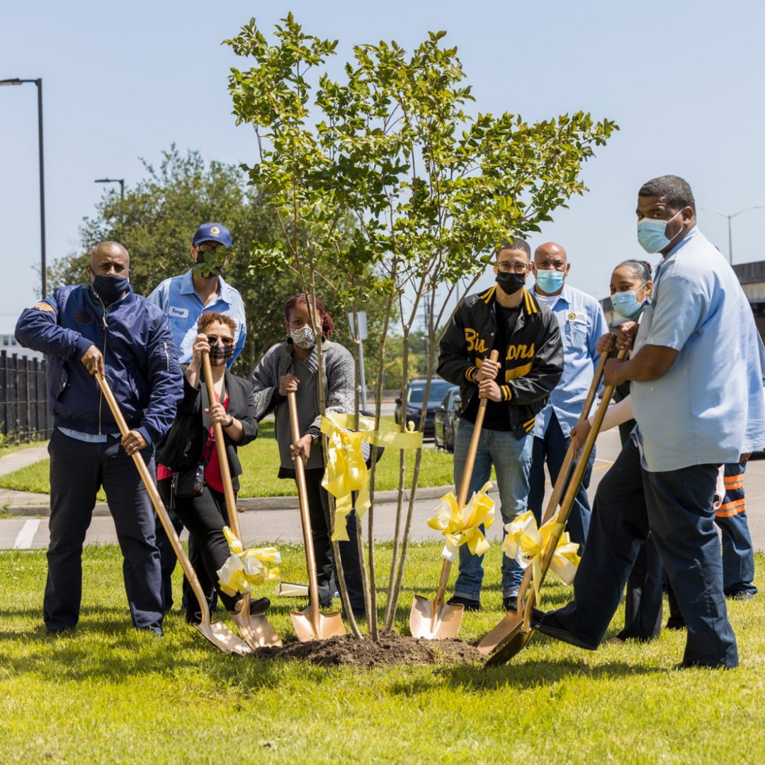 15--tree-planting.png