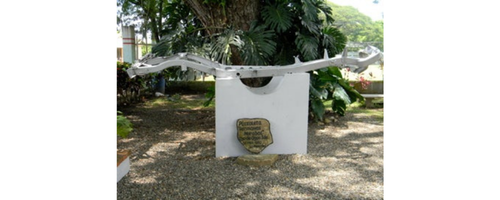 Chassis of jeep the Mirabal Sisters were riding in when they were killed by the Dominican Dictator in 1960