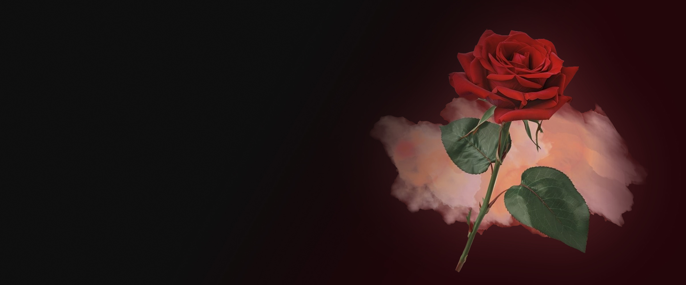 Opera Workshop Presents "Carmen," Showcasing the Next Generation of Artistic Excellence